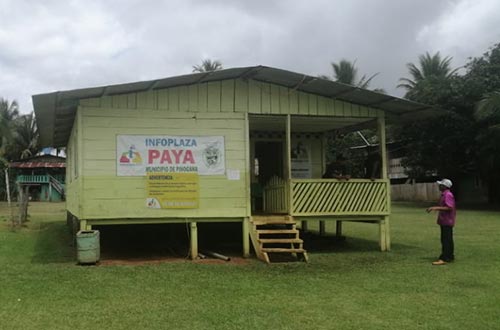 <strong>Paya #486</strong>