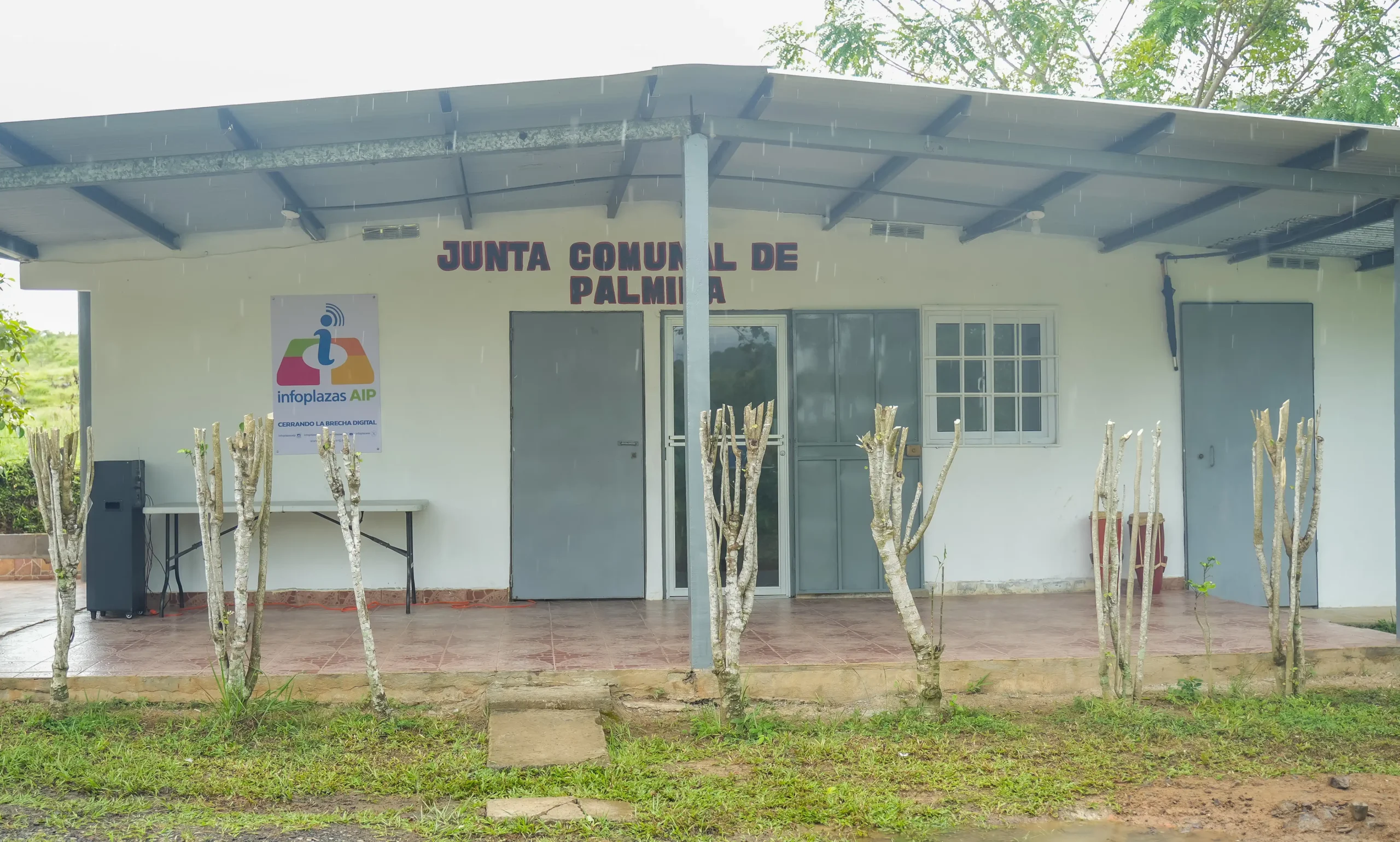 <strong>Palmira #641</strong>