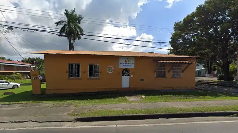 <strong>Bejuco #245</strong>