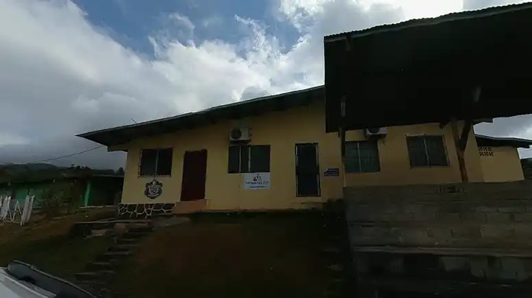 <strong>Chica #196</strong>