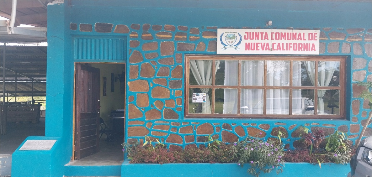 <strong>Nueva California #557 </strong>