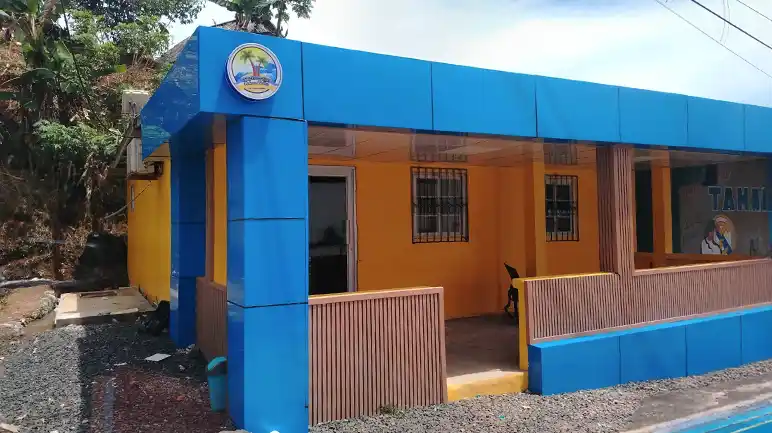 <strong>Palmas Bellas #538</strong>